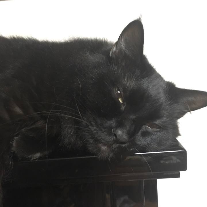 371959b1 da58 4889 85eb f0f5e16d7122 1538400280651