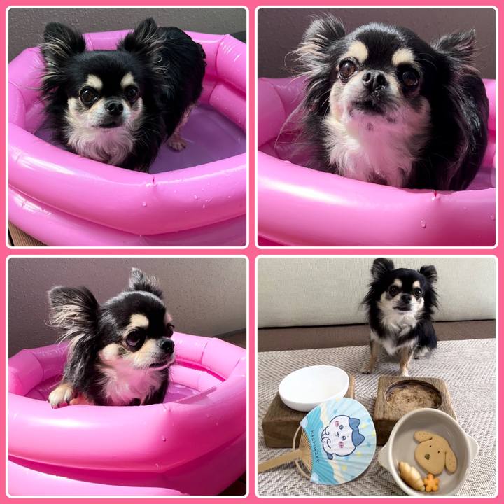 37196148 3d60 48fb b30e 72a5bcc70c06 1692322859617