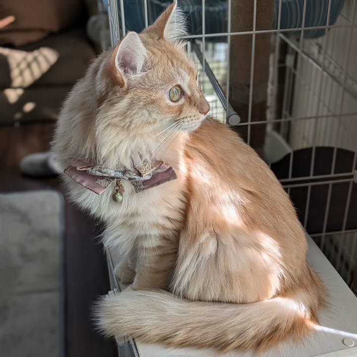 371962eb 4bb0 4cd3 9349 b838f314272f 1728884596532