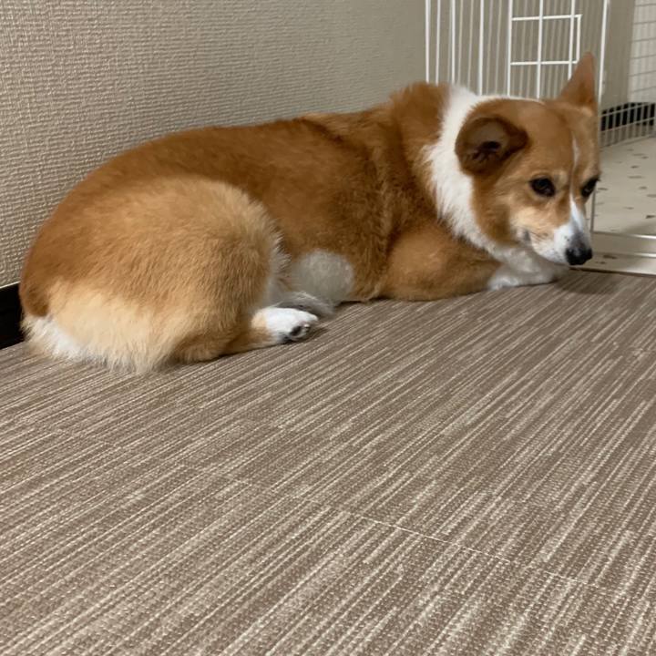 37197121 571a 4e93 a68a d7288d443b34 1561810441835