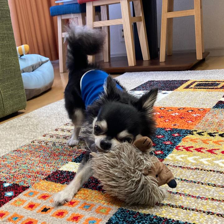 37197a62 e87e 4df3 b935 ee0ecd8acb87 1689519493641