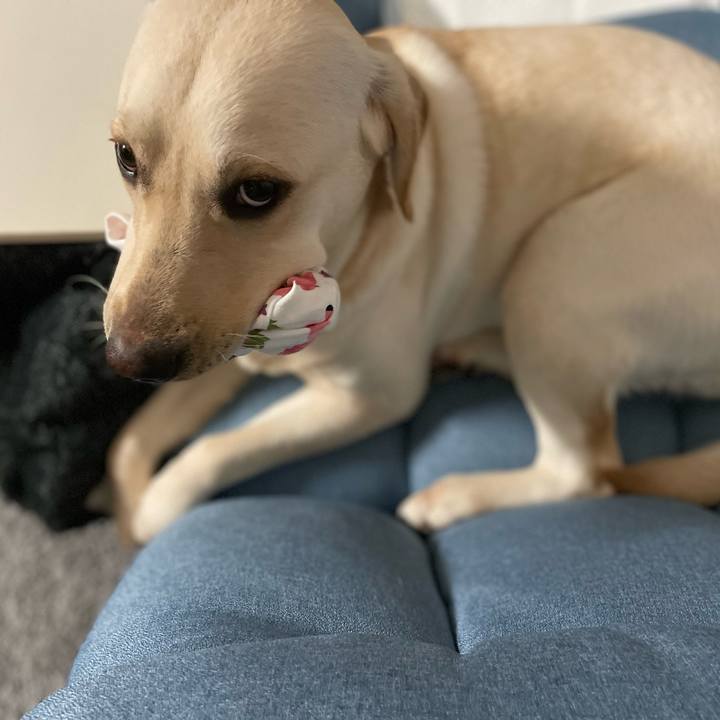 3719b708 7cb7 4559 a66b 6733adde8c22 1644011604930