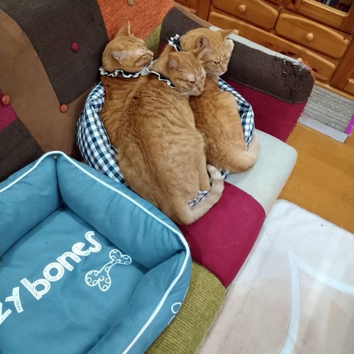 3719b7f4 5d4c 4375 9ed8 8e7e78c9efa4 1602340621187