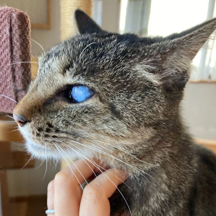 3719bff3 cc4b 4cb6 93f6 c14555e51690 1674466738450