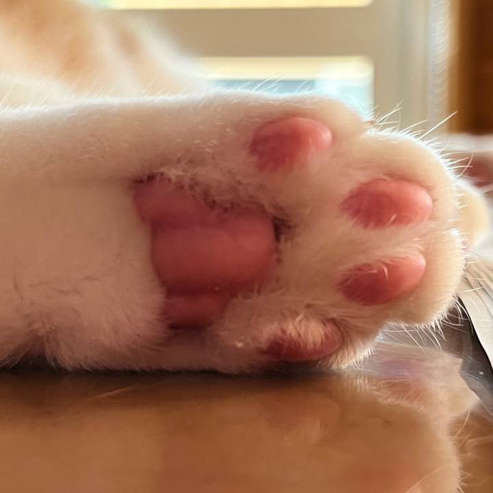 371a30c7 cf7a 4e15 a953 91bcc1253471 1692654052440