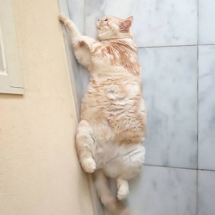 371a541d e6ce 4005 bd15 bed590bebe25 1599544807772