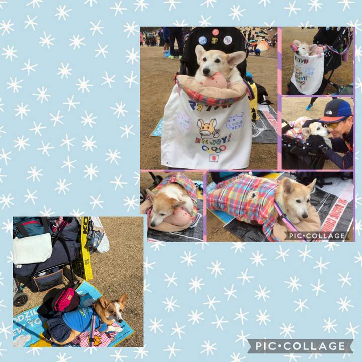 371a5f2a 6b1a 4036 9a3e 42ae590ed95d 1771811906311