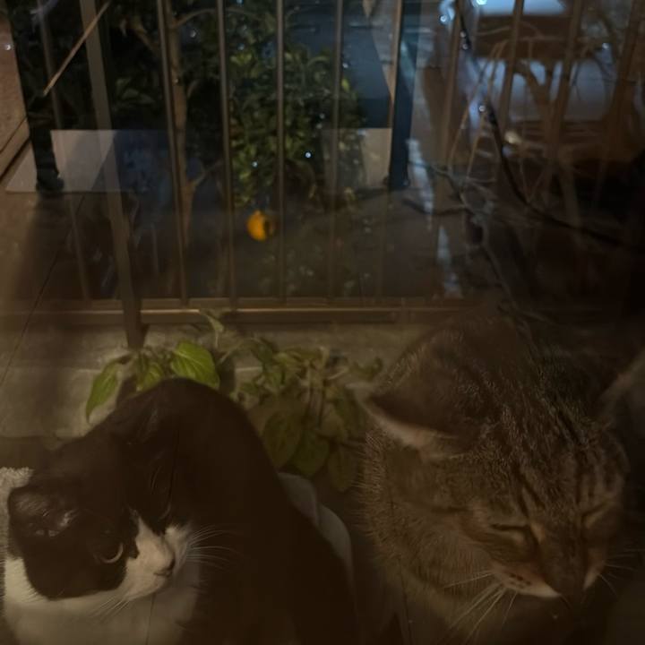 371a89db 8aae 4fbb bc84 e68a9436c528 1767349545861