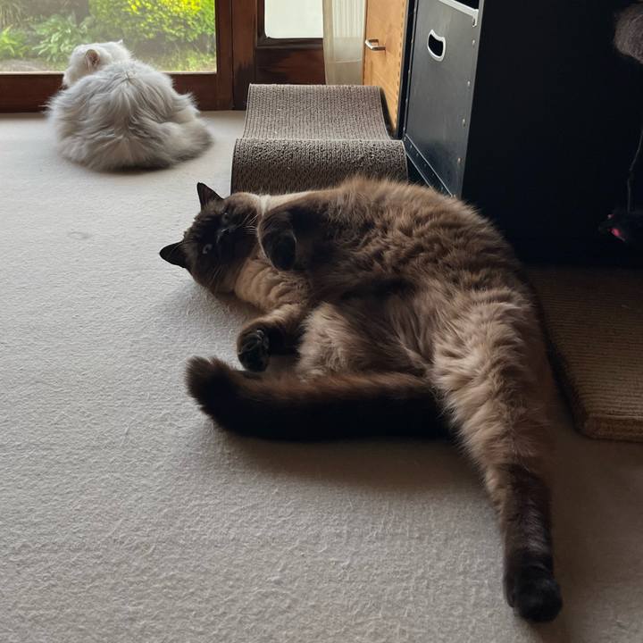 371ad5b2 b1f5 4a7f 9233 16d453d3d861 1653279961584