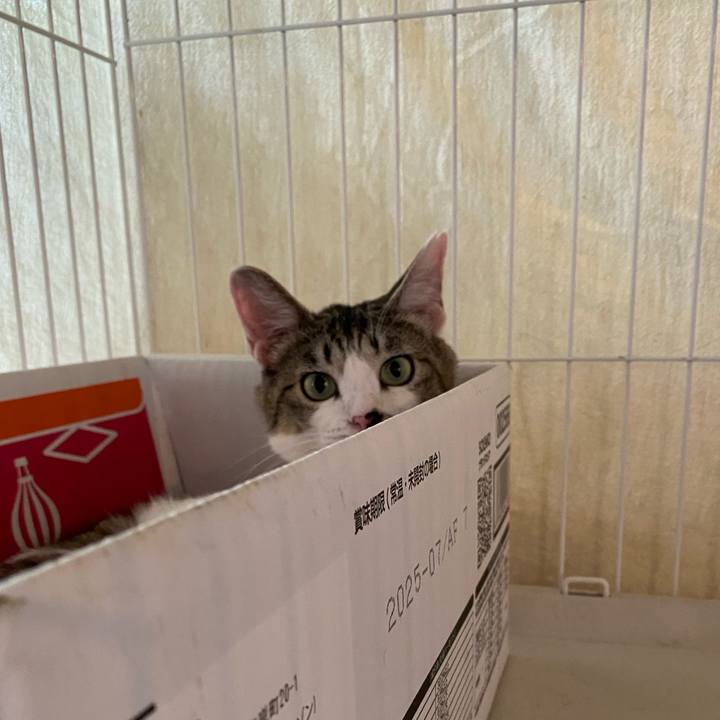 371b211e 3c94 42ee 858d dbd73c9375fc 1719385314028