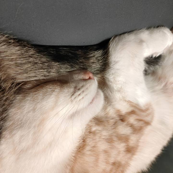 371b615c d2d6 4549 87b8 affe55a9d303 1674556762370