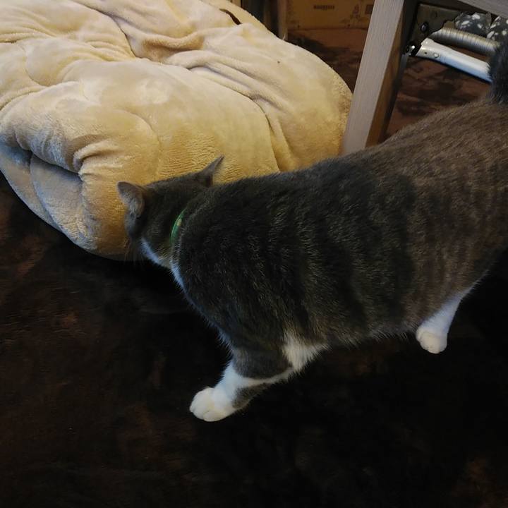 371b6301 08a7 4478 a8cb c0aa93bb29d8 1581321981194