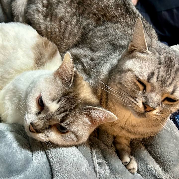 371bd62c 29d4 4ec1 931c 22712c3f8946 1737776386973