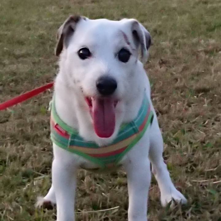 371c188c ab84 48b9 8e7b 95cebb6cb226 1575245435646