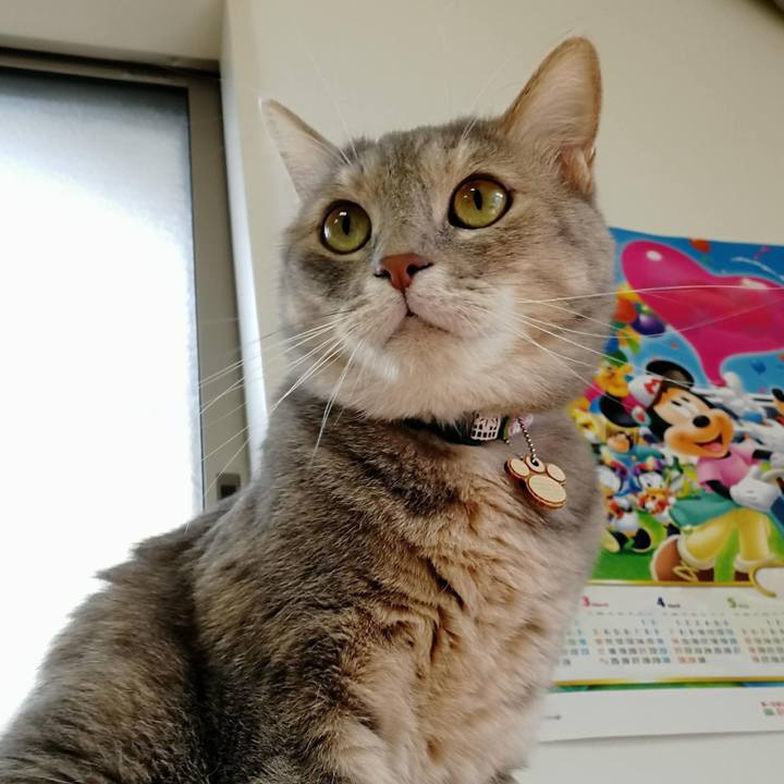 371c2ecb 2784 4534 9592 8199a250caab 1561710651969