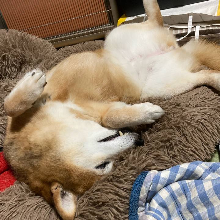 371c4911 4121 4c92 9705 b9f6cf24e988 1681471187414