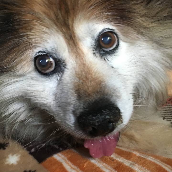 371c5b9e 935a 4a30 ba22 1cf1b46035ad 1574029455900