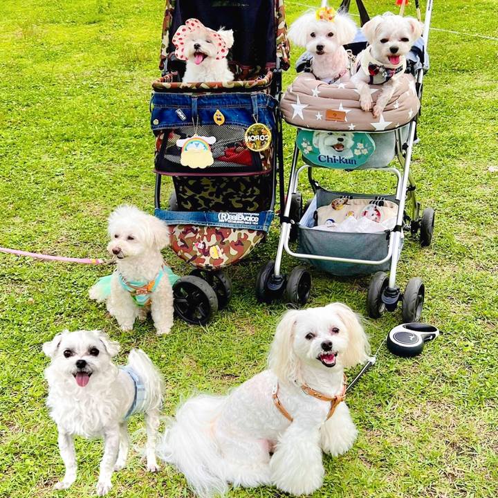 371c6275 ccfe 4d33 9444 d79e3aee4727 1687790541135