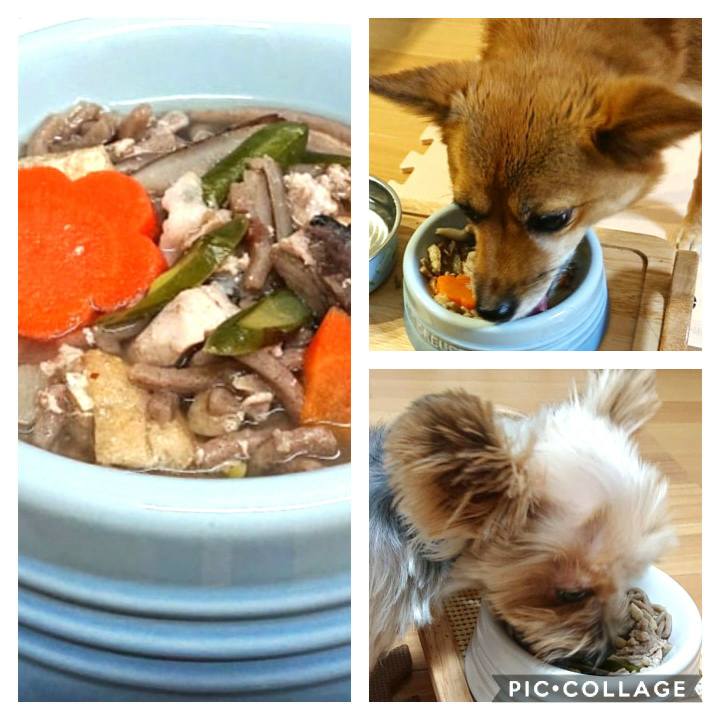 371d0258 e74e 4852 a881 ef2cdc36d3d8 1577787775094