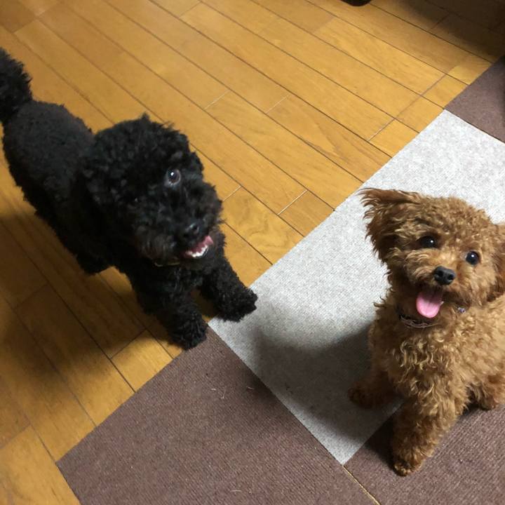 371d157d ae61 43af 8c0e 6624f9b02e8d 1507675828314