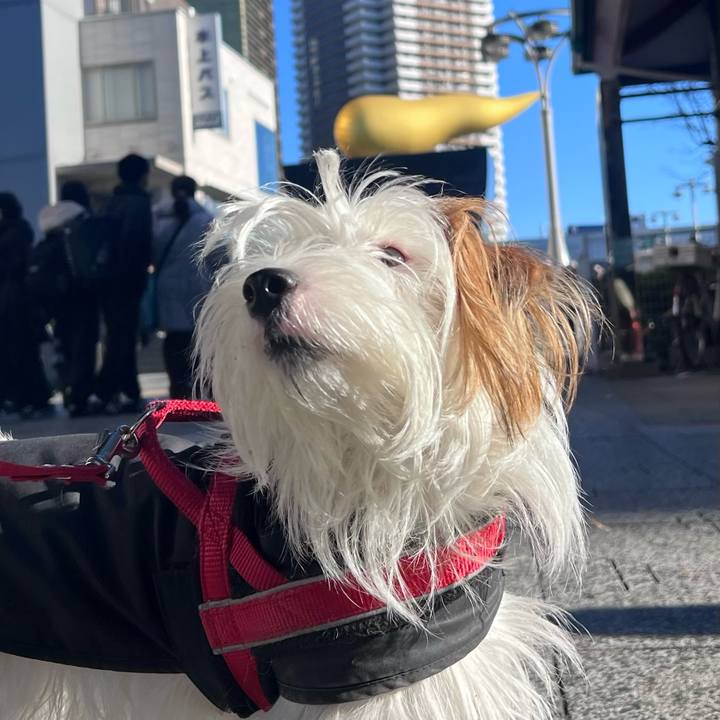 371d454c 45ab 44ae b5c0 60cb288c81c2 1736768391604