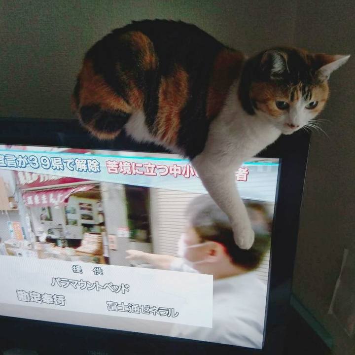 371d59a5 4ebc 4844 811d 331be9c0abe7 1589845403342