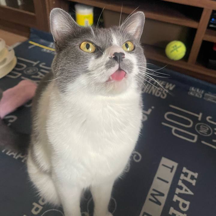 371d7fd3 e113 4a4b bb1c 6a4d891279ab 1720248284390