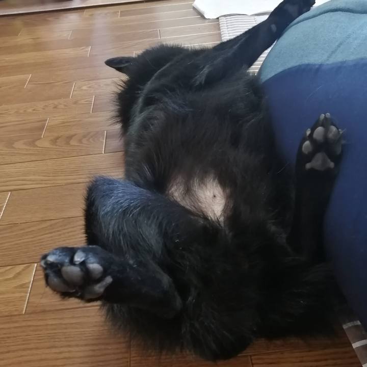 371db9b6 bd5a 4ca5 8c63 a339e05a3dcf 1619315831244