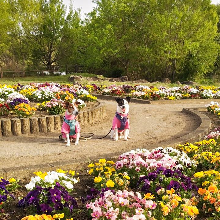 371dc024 e7ed 4198 b30d 8a02ef09c639 1745067472381