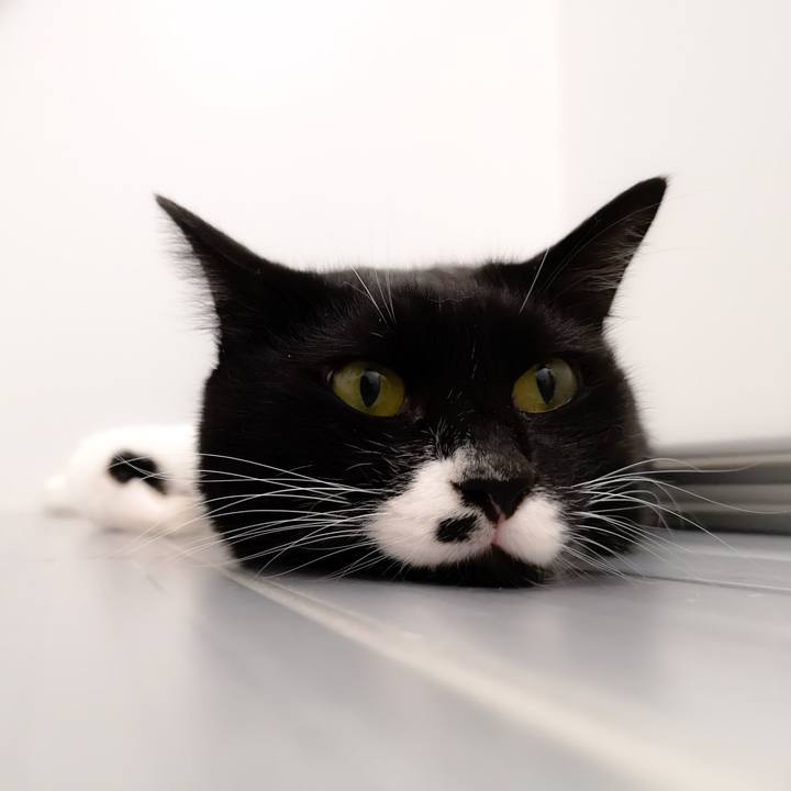 371dc842 e3e4 4865 a5c3 6de5c4cda2f6 1569735650502