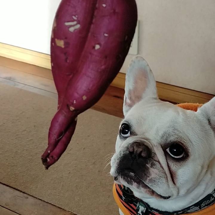 371decb4 547f 47a7 ab2e bd2805259dae 1643953906991