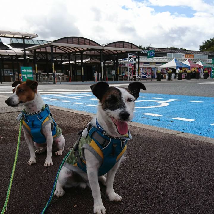 371e2598 4815 4ec7 9f46 dc0d7e10a1de 1569198448984