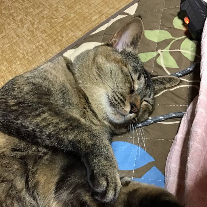 371e2a81 6d04 4b7c 8cbe 87a3e04f5b99 1672321225496