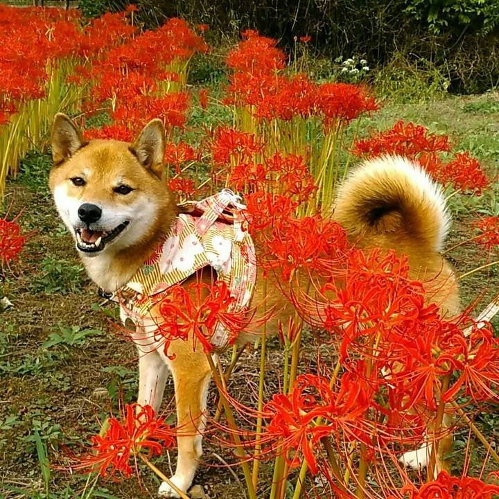 371e39d4 2956 45aa 817e 679c5f94bb0b 1537601173853