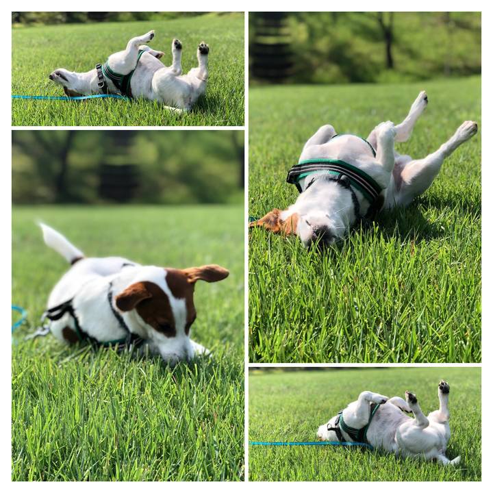 371e5a7f e1d5 4db6 99d7 58ace534f38d 1566715779827