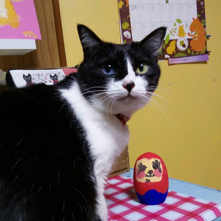 371e8022 c3e0 48cd 9c46 23672e40f4cd 1517569353628