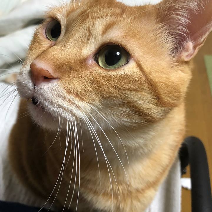 371e8237 2c8c 40ce a7a9 dab2eb06e523 1634220655447