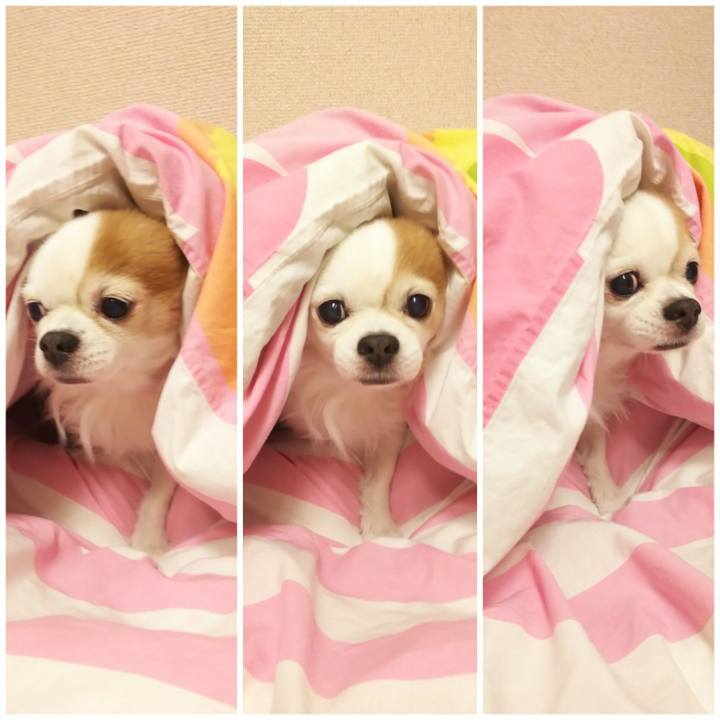 371e92f7 5fde 4a4e 84c7 b598edbc5112 1609290288466