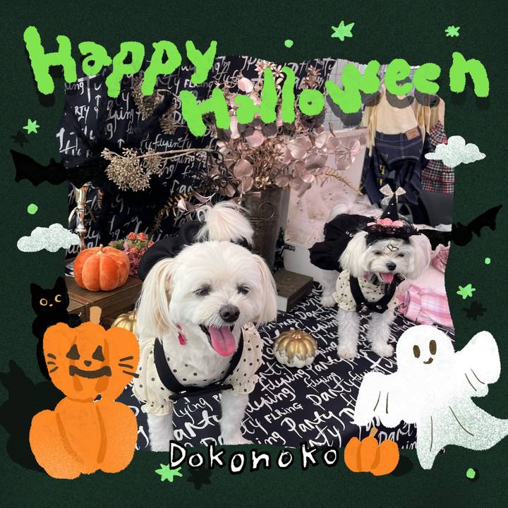 371e9b27 bcfa 48f2 bfbd b5c30e5ad4be 1729222347437