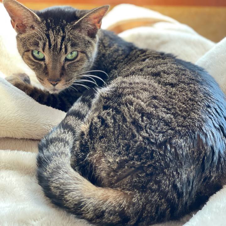 371eefd1 5068 480c 8fa8 28155426dfe8 1619398289202