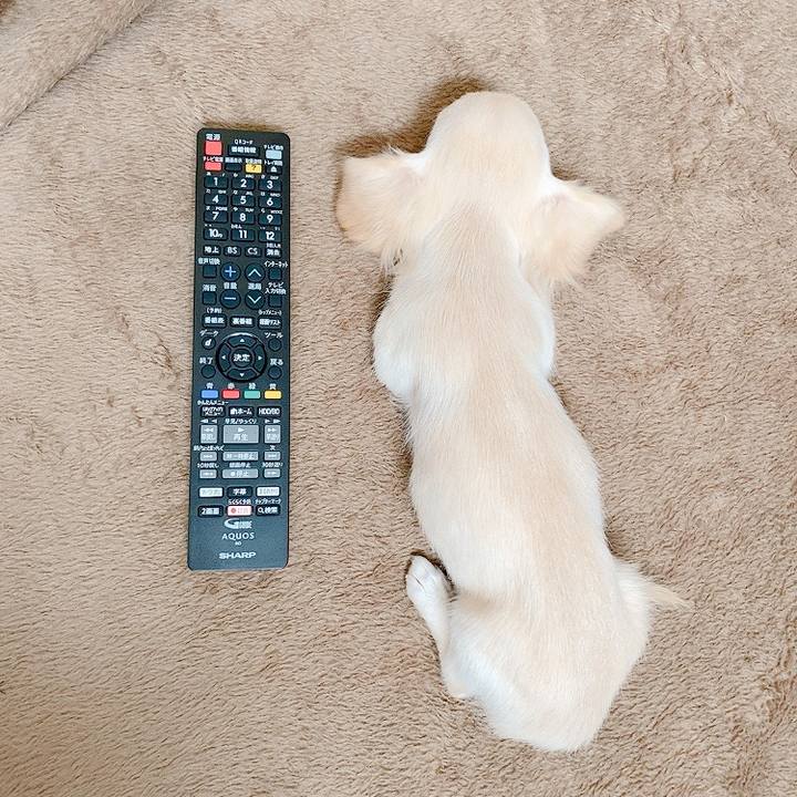 371ef12e 0a1b 46bc 861f 670f2c9432b8 1592441959105