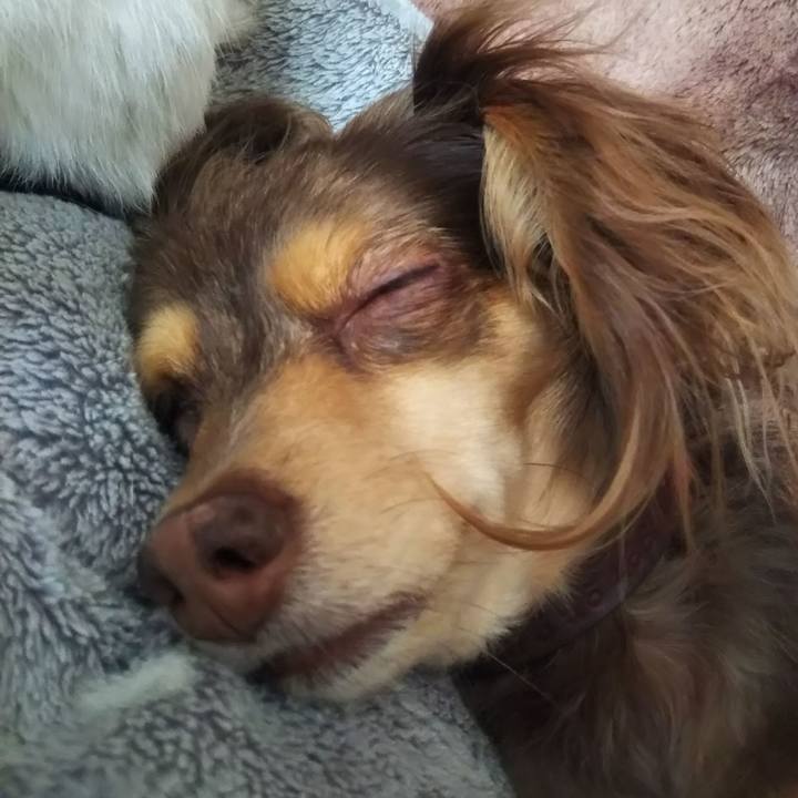 371ef537 49c2 4d44 8541 f0c4cd4aa6d4 1587881265578