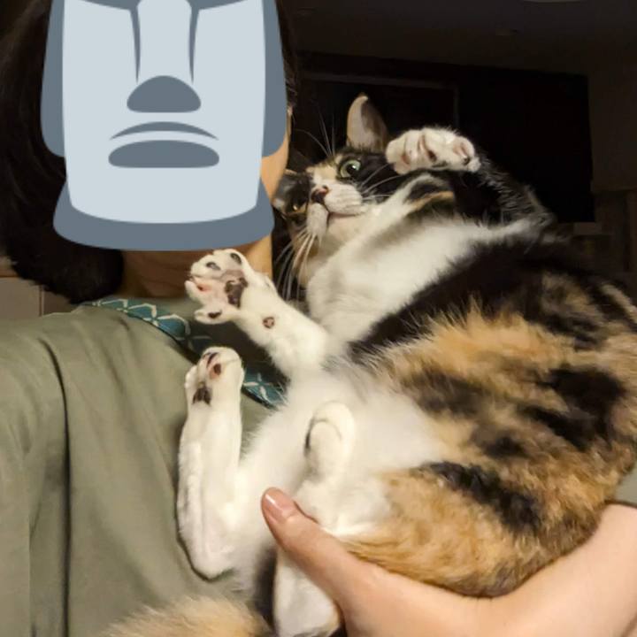 371efae9 054c 4a33 8223 4930542091d9 1697379181597