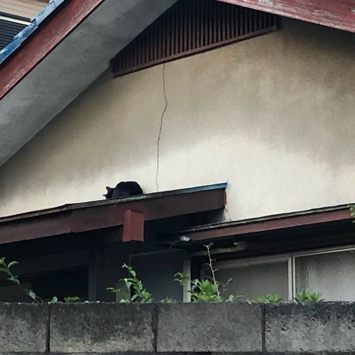 371f2225 4840 4df4 af30 500f3e093356 1604628483974