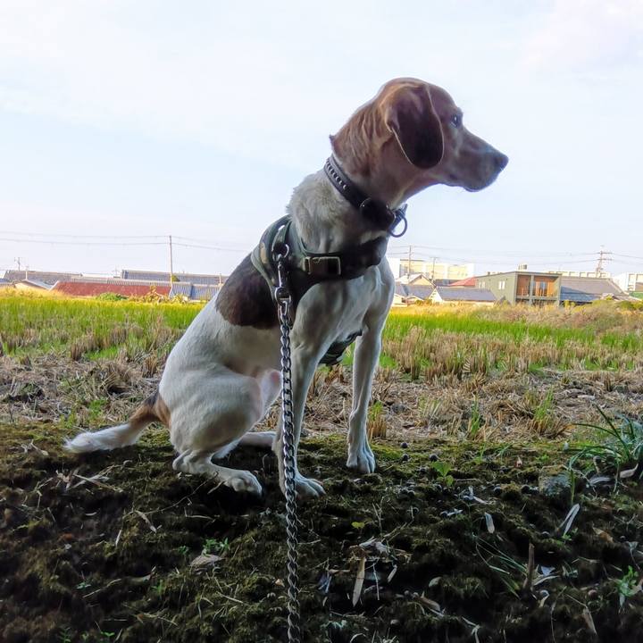 371f38fe c360 43d3 a774 2aa46fcaabe1 1733300839716