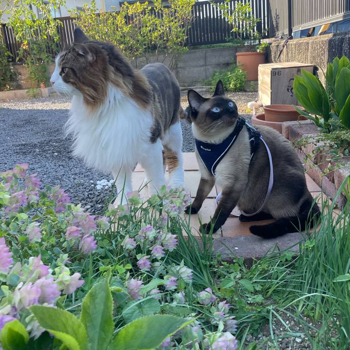 371f4446 5d7f 45e5 841d 9218d747856e 1754771897434