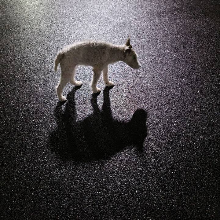 371f49cf 423f 40bb 9db1 4edf08047bef 1719921859272