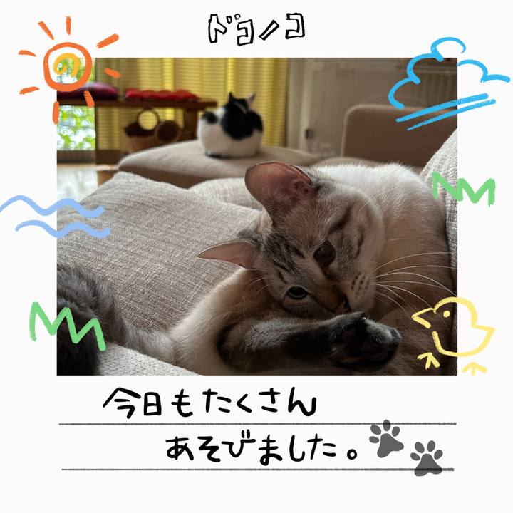 371f561d e731 4592 a2ad ee185386990e 1755563549128