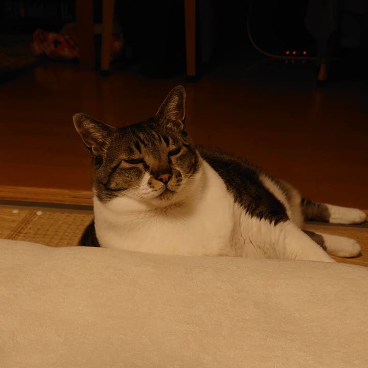 371f62ea c469 41b2 ae2c b53b66b0f007 1617631390225