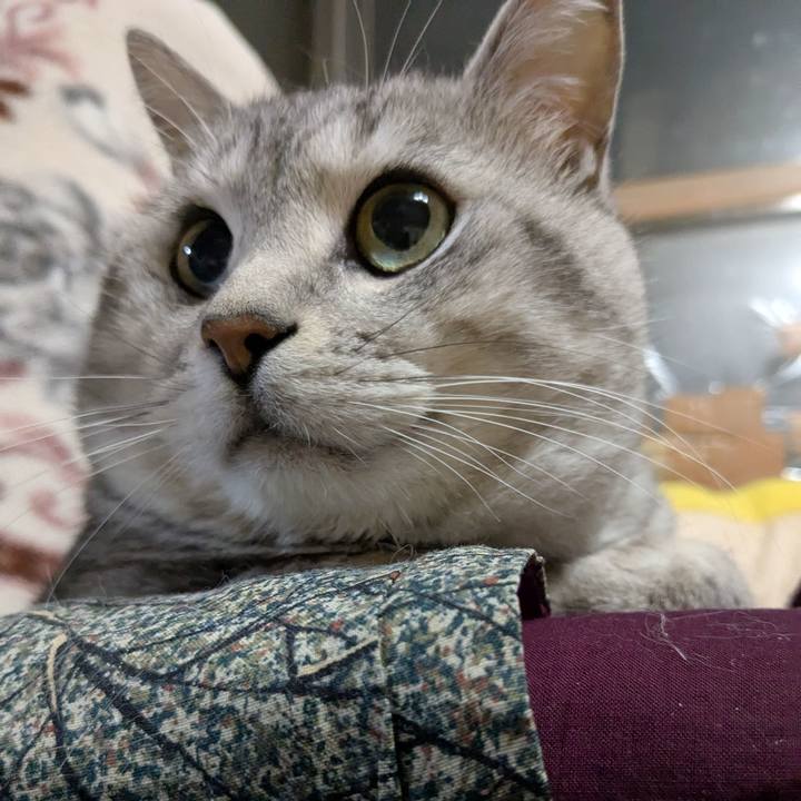 371f7237 b07f 4165 b1e9 e31c499128a0 1741615786515